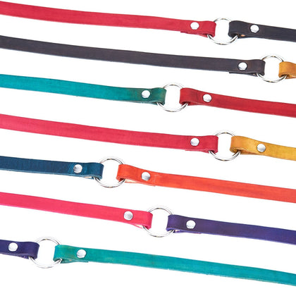 Medium Leather Dog Leash - Available in More Colors - Odell Design Studio