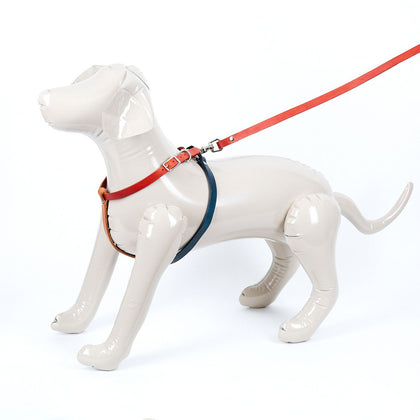 Medium Multi Colored Leather Dog Harness - Available in More Colors - Odell Design Studio