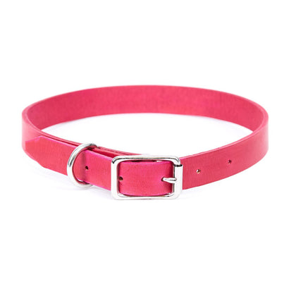 Large Leather Dog Collar - Available in More Colors - Odell Design Studio