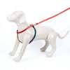 Medium Multi Colored Leather Dog Harness - Available in More Colors