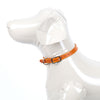 Small Leather Dog Collar - Available in More Colors