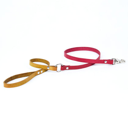 Small Leather Dog Leash - Available in More Colors - Odell Design Studio