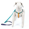 Small Multi Colored Dog Harness - Available in More Colors